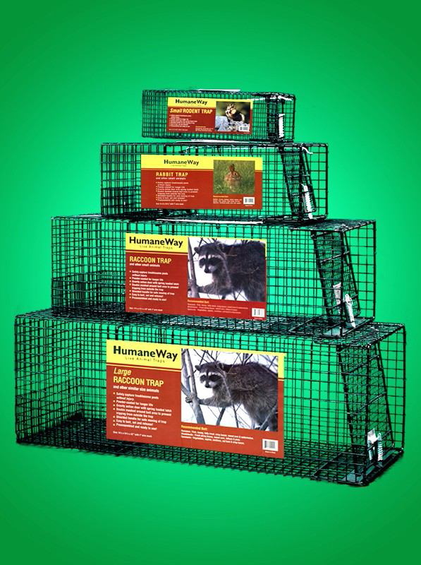  Humane Way 914050 Heavy Duty Live X-Large Dog Trap, X  50x19x24 : Patio, Lawn & Garden